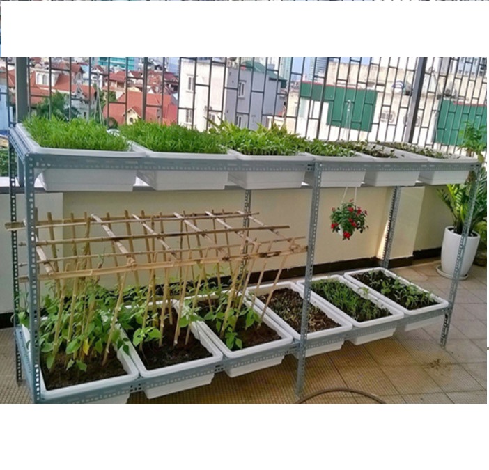 Giàn trồng rau 2 tầng 12 chậu - Ảnh 1